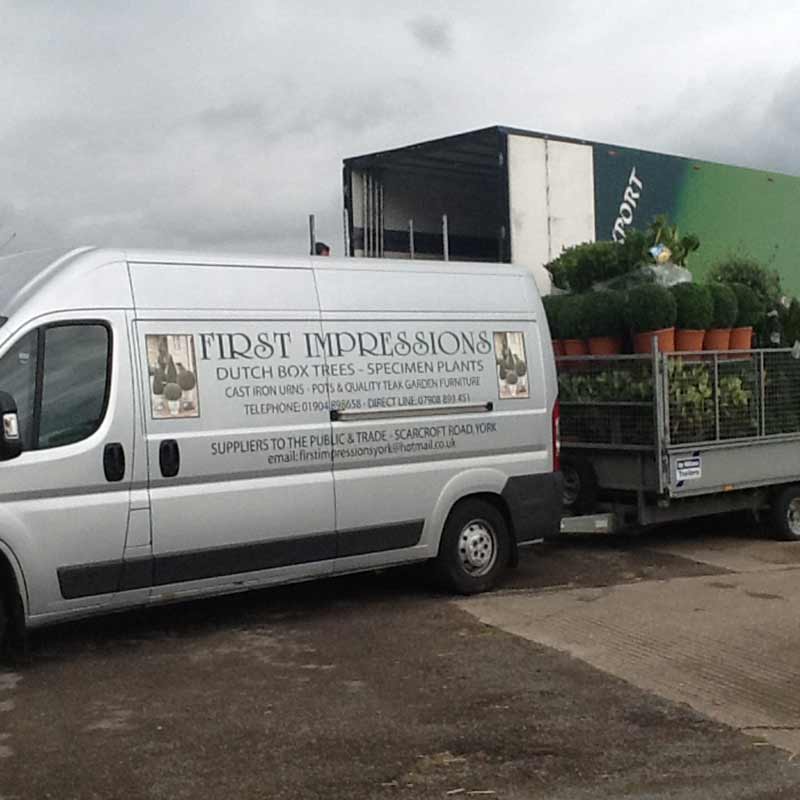 spiral box trees supplier in selby york and yorkshire